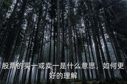 股票的買一或賣一是什么意思，如何更好的理解