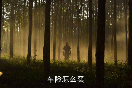 車(chē)險(xiǎn)怎么買(mǎi)