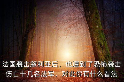 法國襲擊敘利亞后，也遭到了恐怖襲擊傷亡十幾名法軍，對此你有什么看法