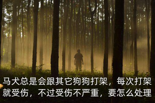 馬犬總是會(huì)跟其它狗狗打架，每次打架就受傷，不過(guò)受傷不嚴(yán)重，要怎么處理