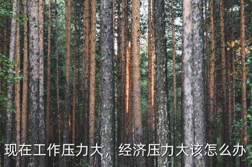 現(xiàn)在工作壓力大，經(jīng)濟壓力大該怎么辦