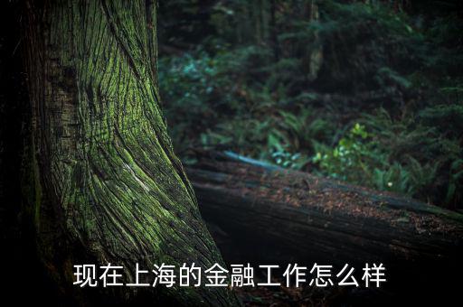上?；バ沤鹑谠趺礃?上海立信會(huì)計(jì)金融學(xué)院怎么樣