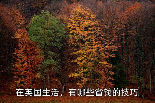 在英國生活，有哪些省錢的技巧