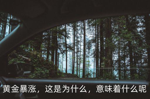 黃金暴漲，這是為什么，意味著什么呢