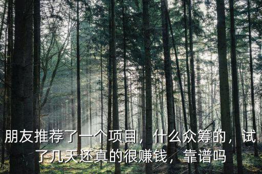 朋友推薦了一個項目，什么眾籌的，試了幾天還真的很賺錢，靠譜嗎