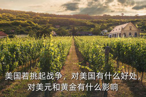 美國(guó)若挑起戰(zhàn)爭(zhēng)，對(duì)美國(guó)有什么好處，對(duì)美元和黃金有什么影響