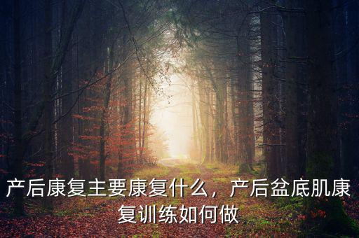 產(chǎn)后康復(fù)主要康復(fù)什么，產(chǎn)后盆底肌康復(fù)訓(xùn)練如何做