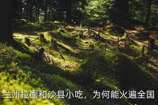 蘭州拉面和沙縣小吃，為何能火遍全國