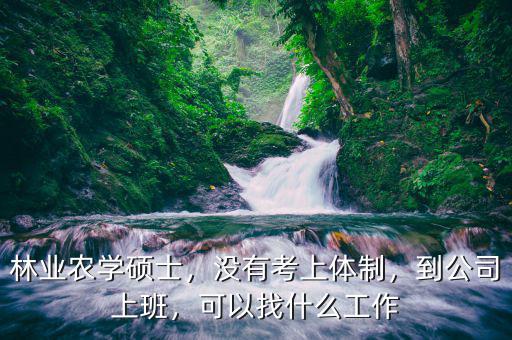 林業(yè)農(nóng)學(xué)碩士，沒有考上體制，到公司上班，可以找什么工作