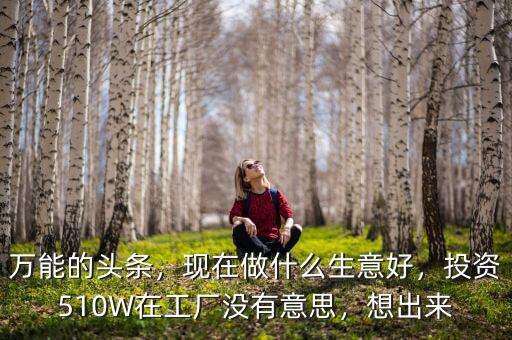 萬(wàn)能的頭條，現(xiàn)在做什么生意好，投資510W在工廠沒有意思，想出來(lái)