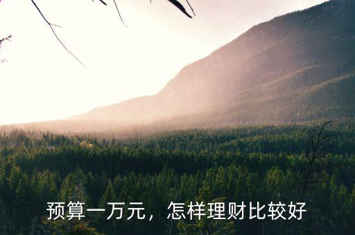一萬(wàn)塊怎么理財(cái),一萬(wàn)塊錢應(yīng)該怎么樣理財(cái)