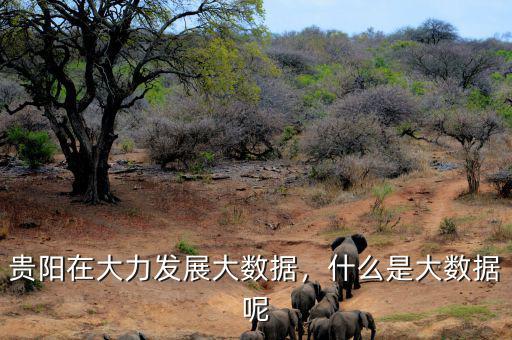 貴陽(yáng)在大力發(fā)展大數(shù)據(jù)，什么是大數(shù)據(jù)呢