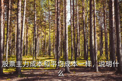 股票主力成本和平均成本一樣，說明什么