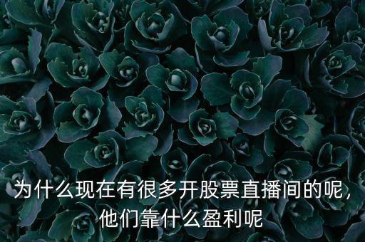為什么現(xiàn)在有很多開(kāi)股票直播間的呢，他們靠什么盈利呢