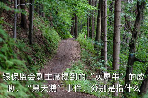 銀保監(jiān)會(huì)副主席提到的“灰犀?！钡耐{，“黑天鵝”事件，分別是指什么