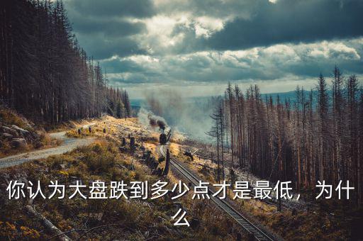 你認為大盤跌到多少點才是最低，為什么