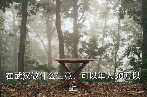 在武漢做什么生意，可以年入30萬以上