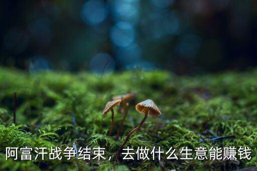 阿富汗戰(zhàn)爭結(jié)束，去做什么生意能賺錢