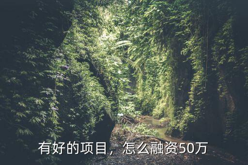 有好的項(xiàng)目，怎么融資50萬(wàn)