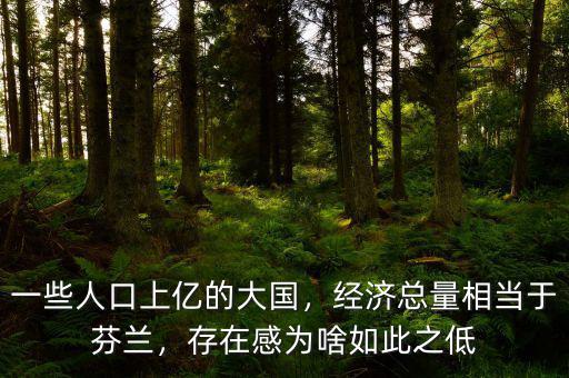 一些人口上億的大國，經(jīng)濟總量相當(dāng)于芬蘭，存在感為啥如此之低