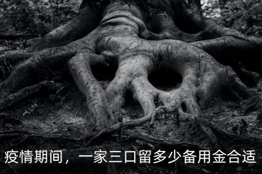 疫情期間，一家三口留多少備用金合適