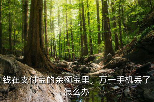 錢(qián)在支付寶的余額寶里，萬(wàn)一手機(jī)丟了怎么辦