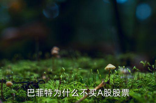 巴菲特為什么不看盤(pán),巴菲特為什么不買(mǎi)A股股票