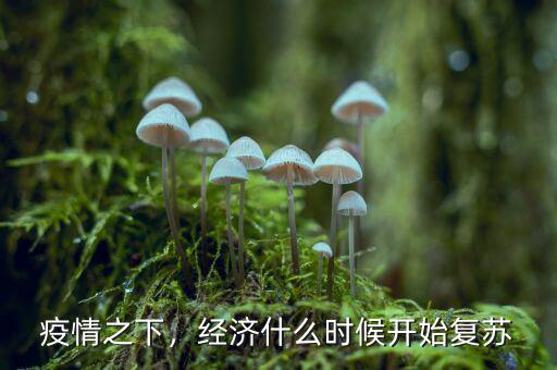 中國今年的經(jīng)濟(jì)什么時候復(fù)蘇,實(shí)體經(jīng)濟(jì)什么時候可以復(fù)蘇