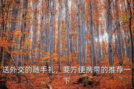 送外交的隨手禮，要方便攜帶的推薦一下