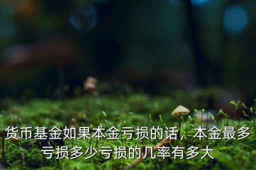 貨幣基金如果本金虧損的話，本金最多虧損多少虧損的幾率有多大