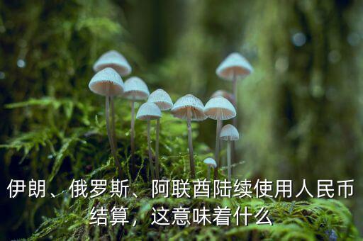 伊朗、俄羅斯、阿聯(lián)酋陸續(xù)使用人民幣結(jié)算，這意味著什么