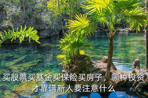 買股票買基金買保險買房子，哪種投資才靠譜新人要注意什么