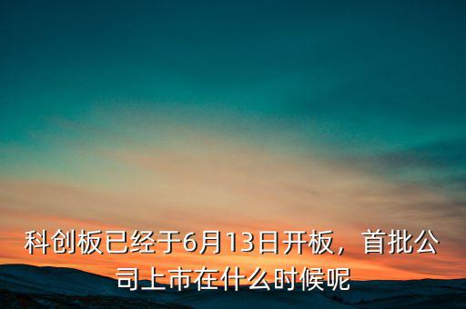 科創(chuàng)板已經(jīng)于6月13日開板，首批公司上市在什么時候呢