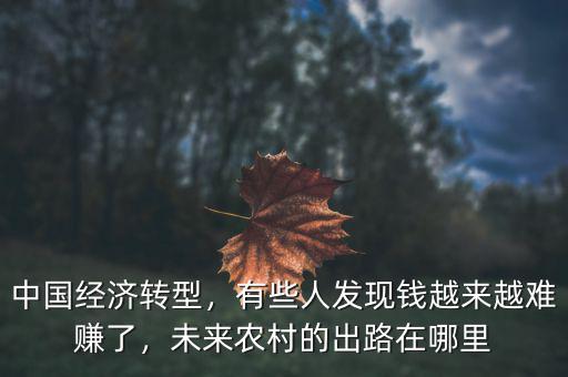 中國(guó)經(jīng)濟(jì)轉(zhuǎn)型，有些人發(fā)現(xiàn)錢越來(lái)越難賺了，未來(lái)農(nóng)村的出路在哪里