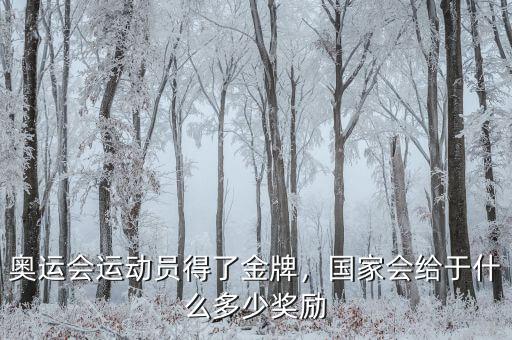 奧運(yùn)會運(yùn)動員得了金牌，國家會給于什么多少獎(jiǎng)勵(lì)