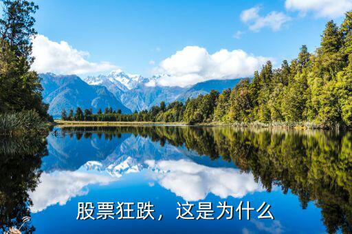 股票狂跌，這是為什么