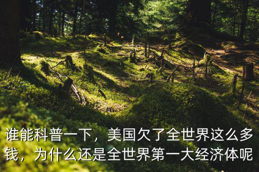 誰能科普一下，美國欠了全世界這么多錢，為什么還是全世界第一大經(jīng)濟(jì)體呢