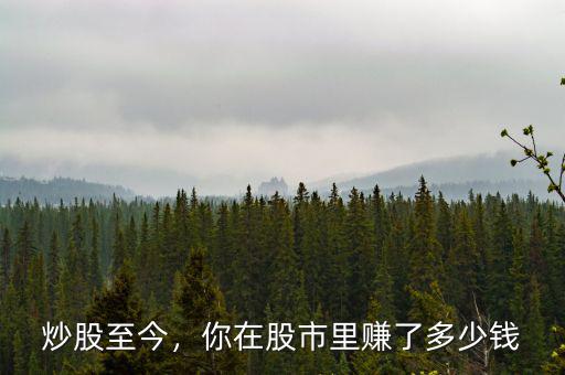 這次股災(zāi)你賠了多少,你炒股虧了多少錢(qián)