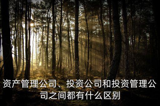 資產(chǎn)管理公司、投資公司和投資管理公司之間都有什么區(qū)別