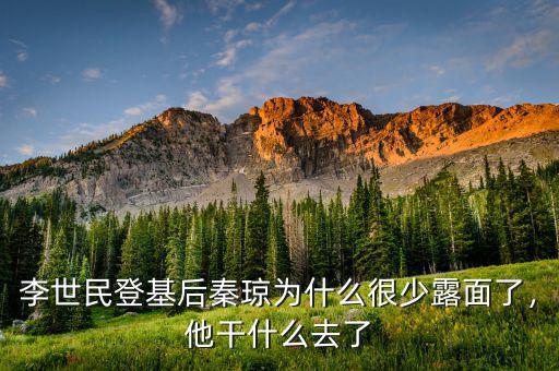 李世民登基后秦瓊為什么很少露面了，他干什么去了