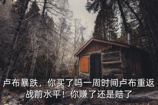 盧布暴跌，你買了嗎一周時(shí)間盧布重返戰(zhàn)前水平！你賺了還是賠了