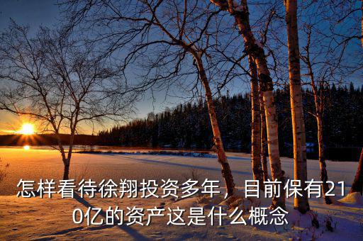 怎樣看待徐翔投資多年，目前保有210億的資產(chǎn)這是什么概念