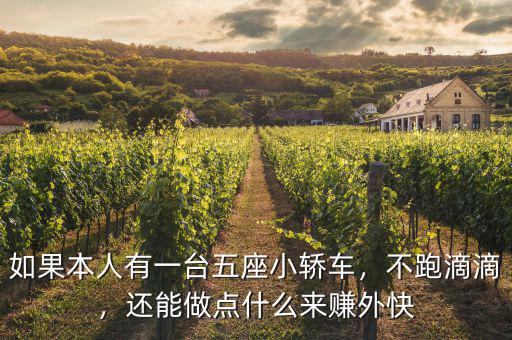 如果本人有一臺五座小轎車，不跑滴滴，還能做點(diǎn)什么來賺外快