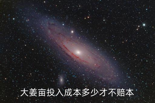 生姜畝成本多少錢(qián),大姜畝投入成本多少才不賠本