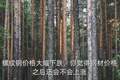 螺紋鋼價格大幅下跌，你覺得鋼材價格之后還會不會上漲