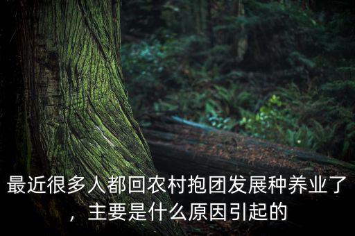 最近很多人都回農(nóng)村抱團(tuán)發(fā)展種養(yǎng)業(yè)了，主要是什么原因引起的