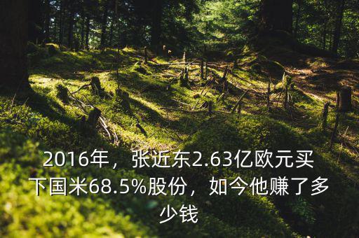 2016年，張近東2.63億歐元買下國(guó)米68.5%股份，如今他賺了多少錢