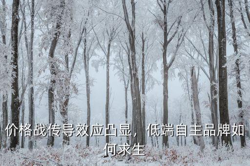 價格戰(zhàn)傳導效應凸顯，低端自主品牌如何求生