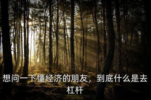 想問(wèn)一下懂經(jīng)濟(jì)的朋友，到底什么是去杠桿