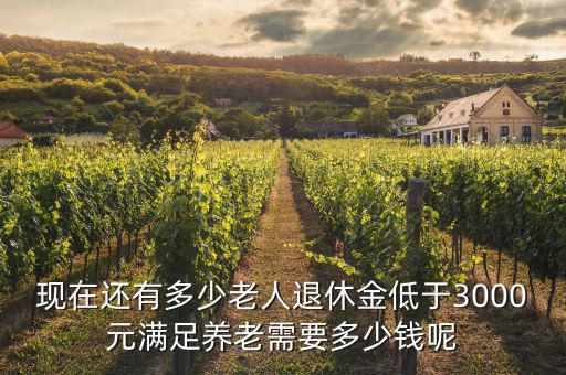 現在還有多少老人退休金低于3000元滿足養(yǎng)老需要多少錢呢